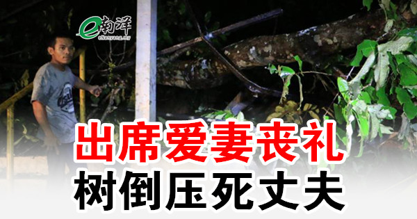 出席爱妻丧礼 树倒压死丈夫